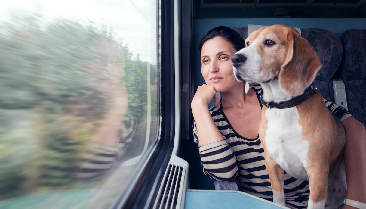 Trenord, animals travel for free: the requirements