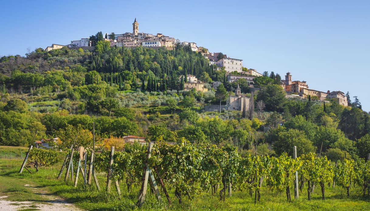 Umbria, home of wine tourism: experiences to live