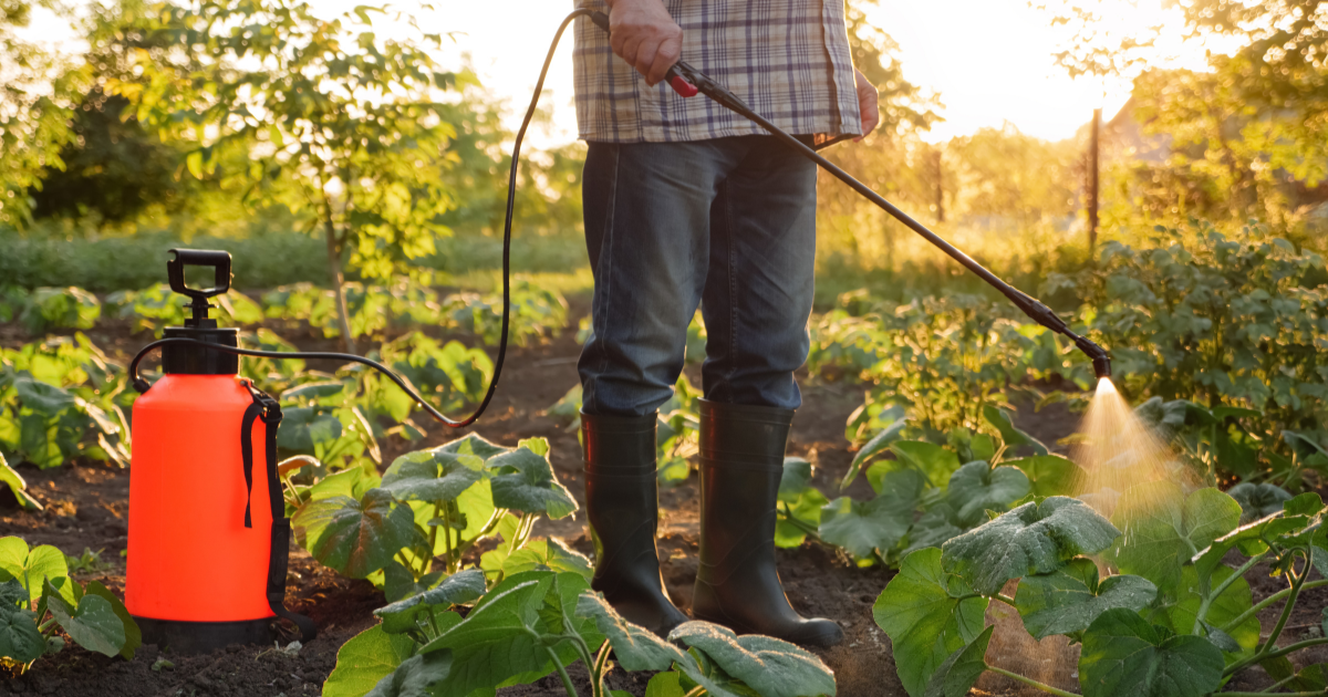 you have to eat organic and what’s more, it’s in season!